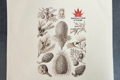 arborium