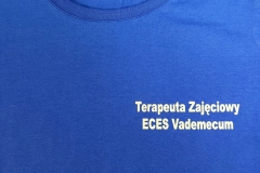 eces-terapeuta